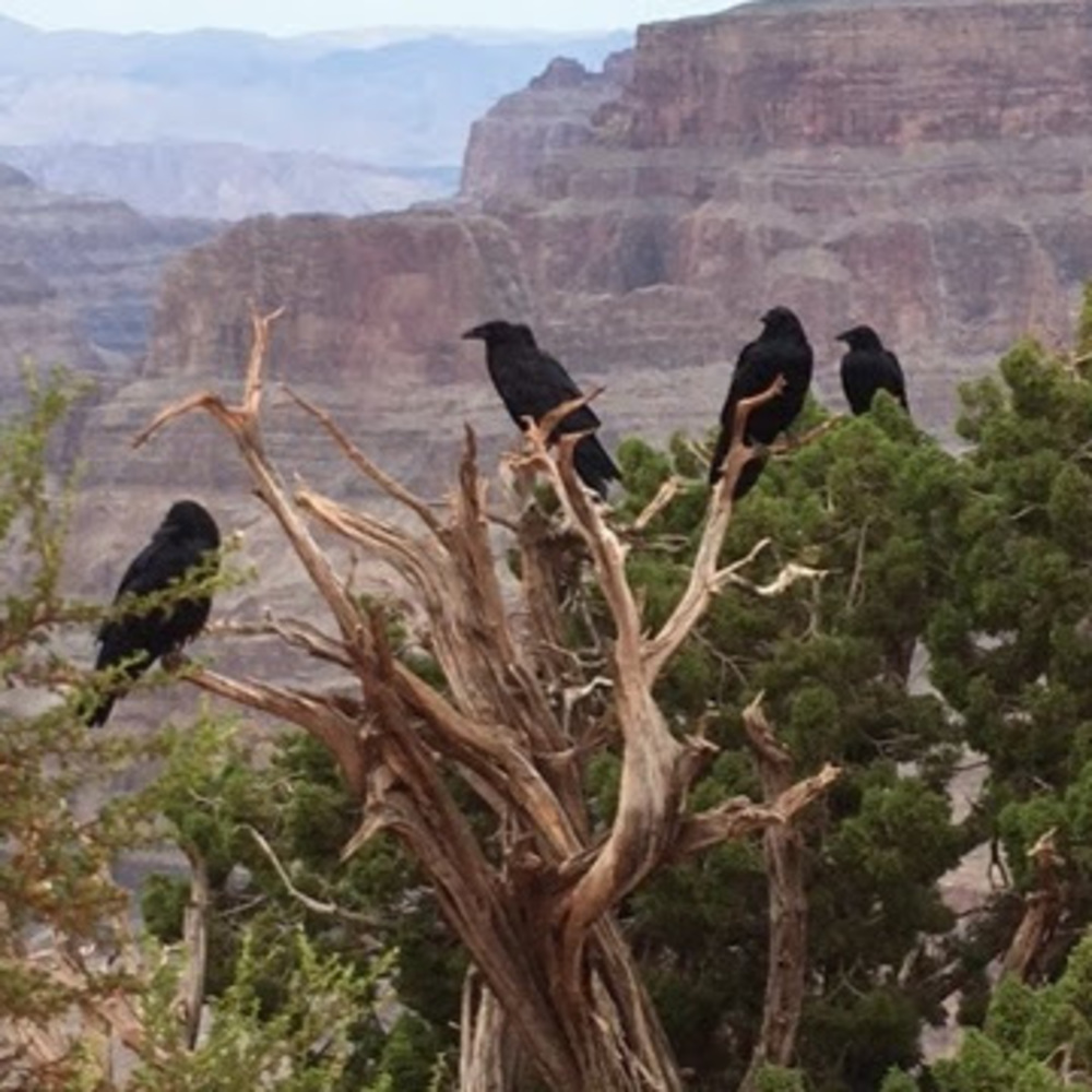 Meet your Posher, Kirsten